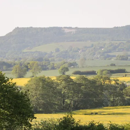 Ickle Pickle * 瑟斯克